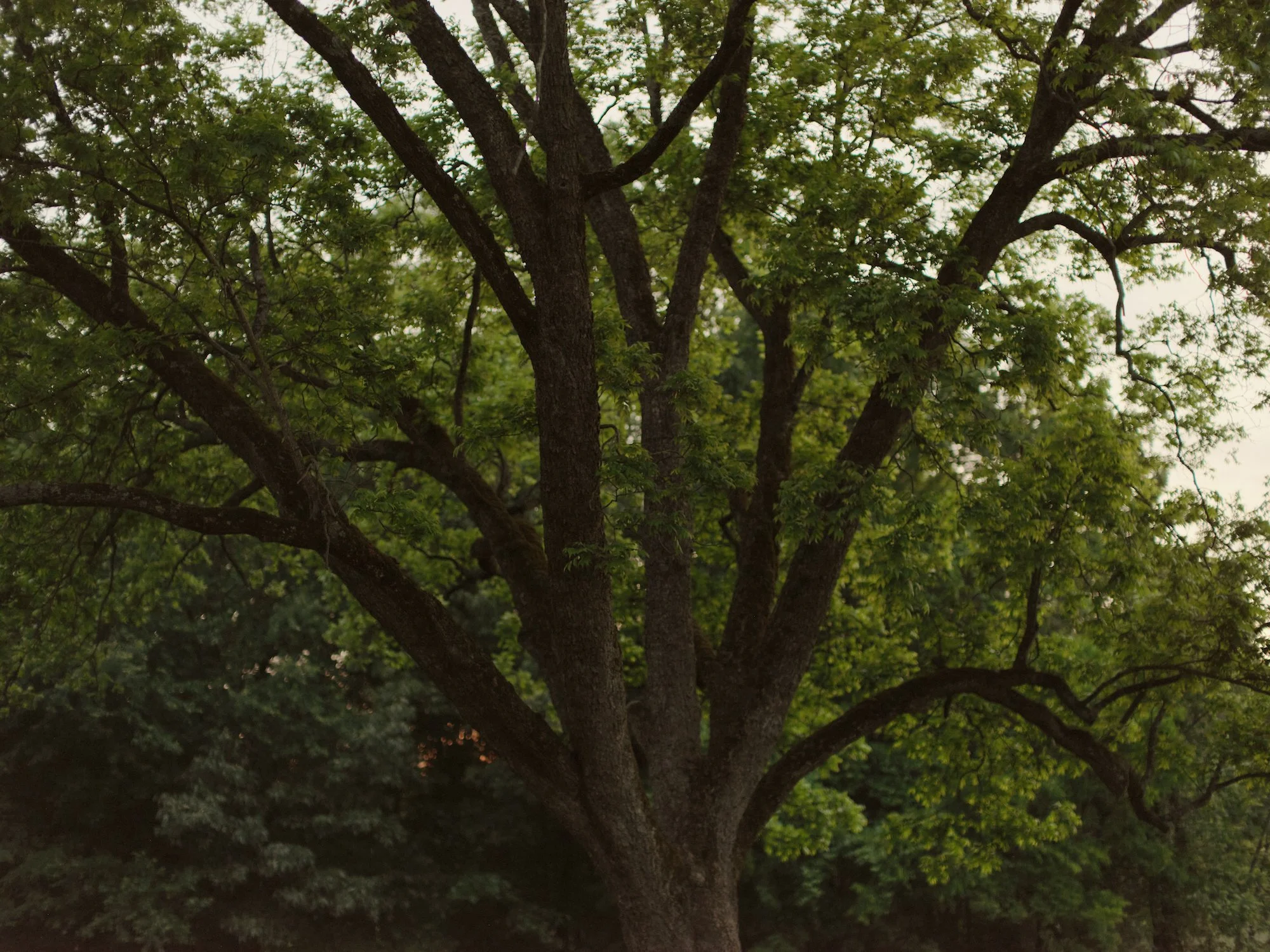 PierrePrairieResidency_114.jpg