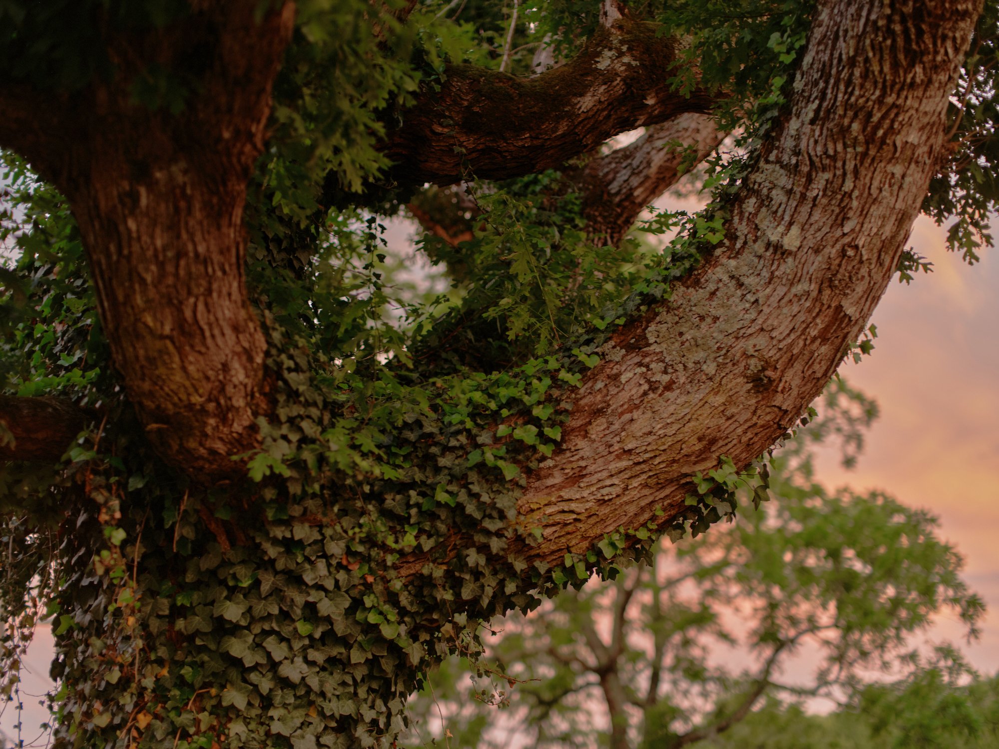 PierrePrairieResidency_81.jpg