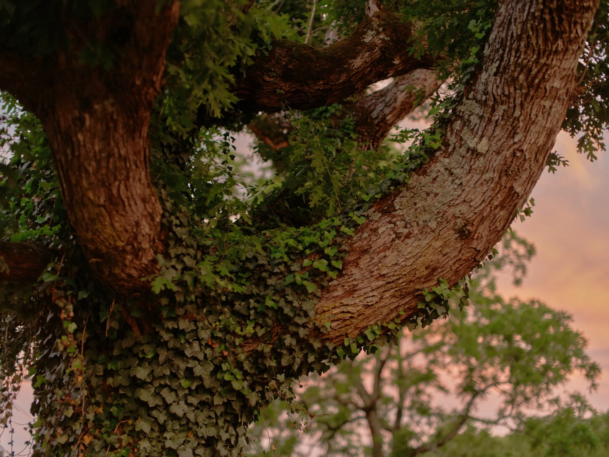 PierrePrairieResidency_81.jpg