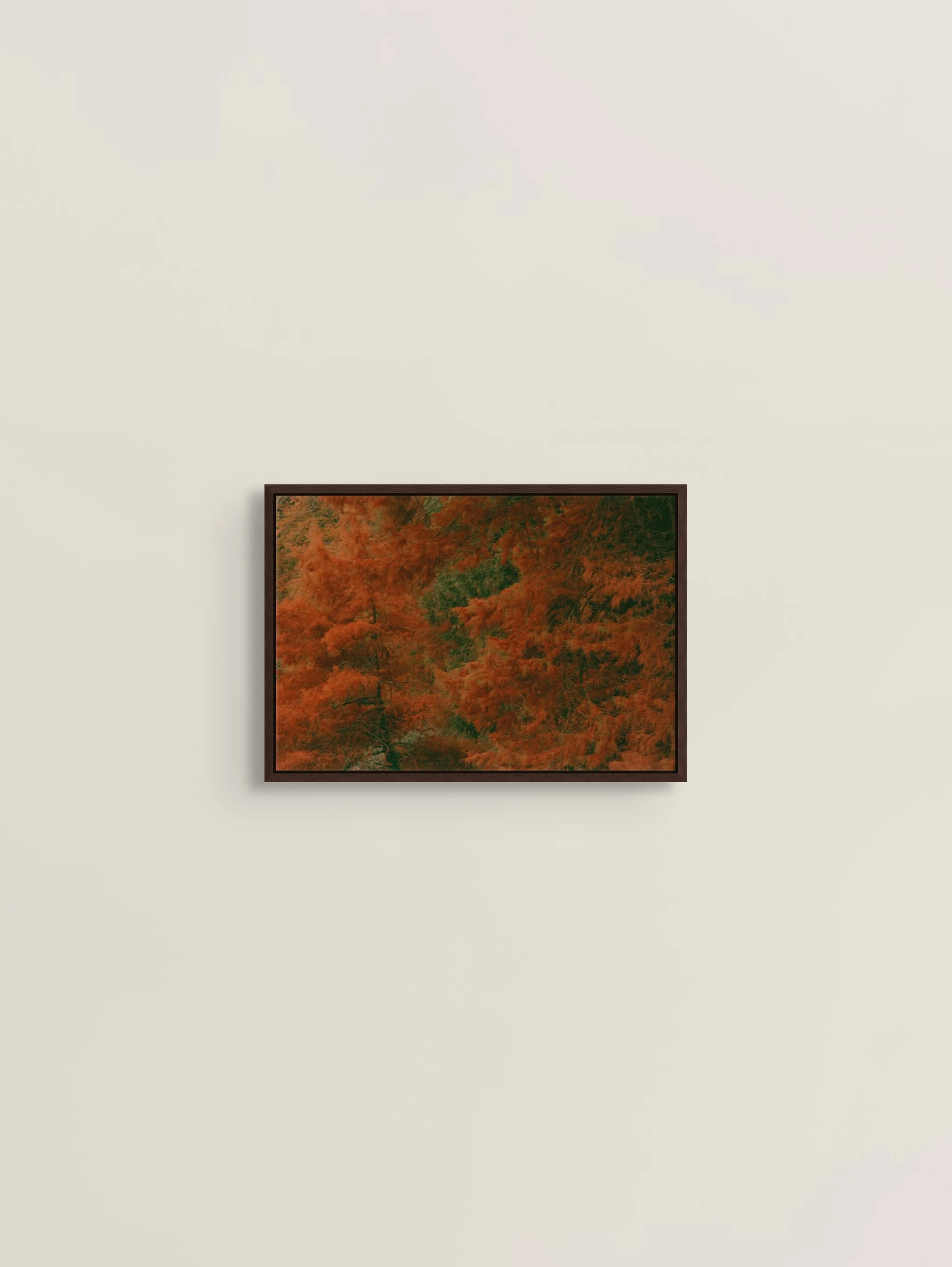 The Garden — A group exhibition