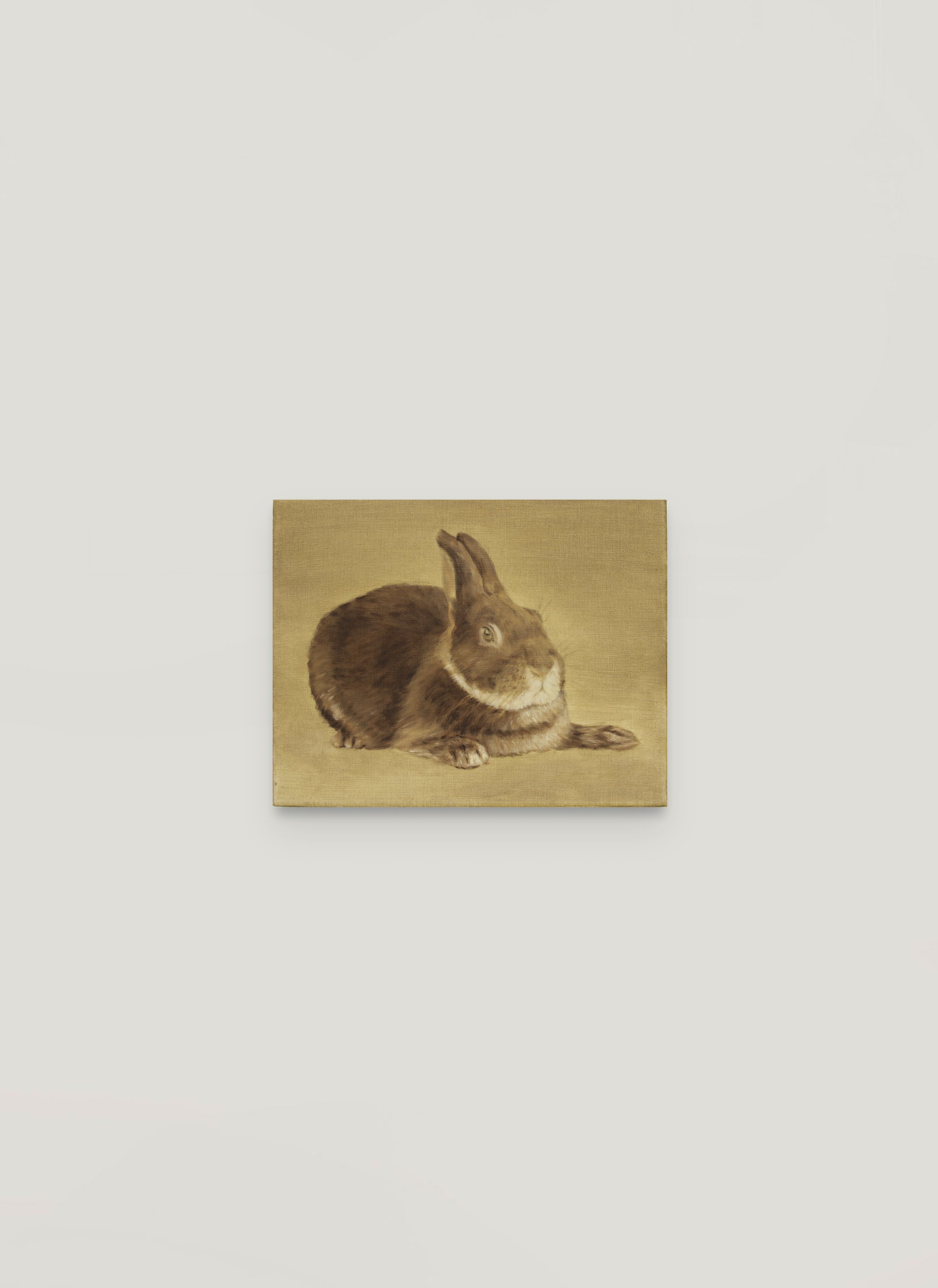 1.rabbit.jpg