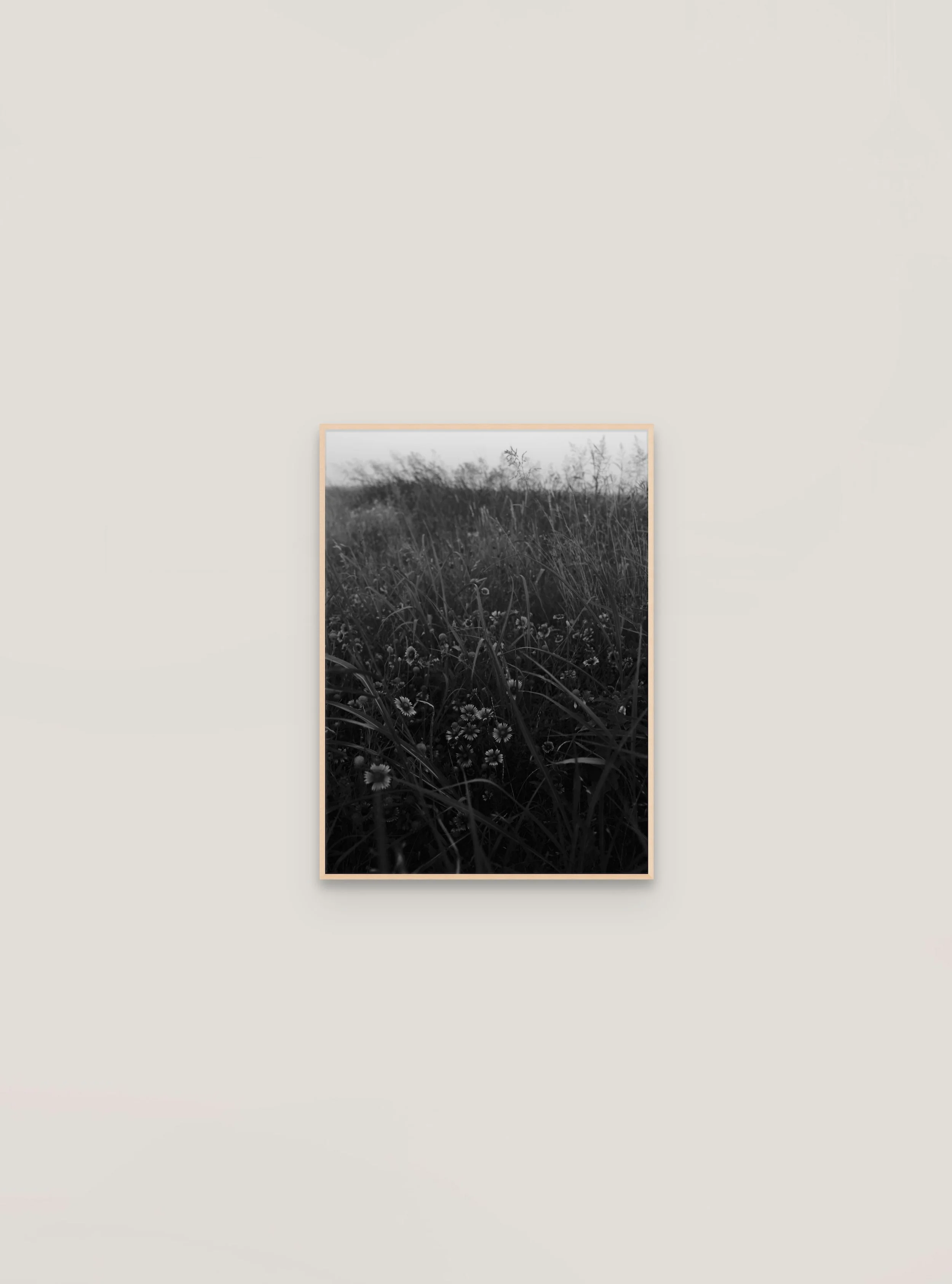 prairie gallery 2 - 2025-02-28T210435.496.jpg