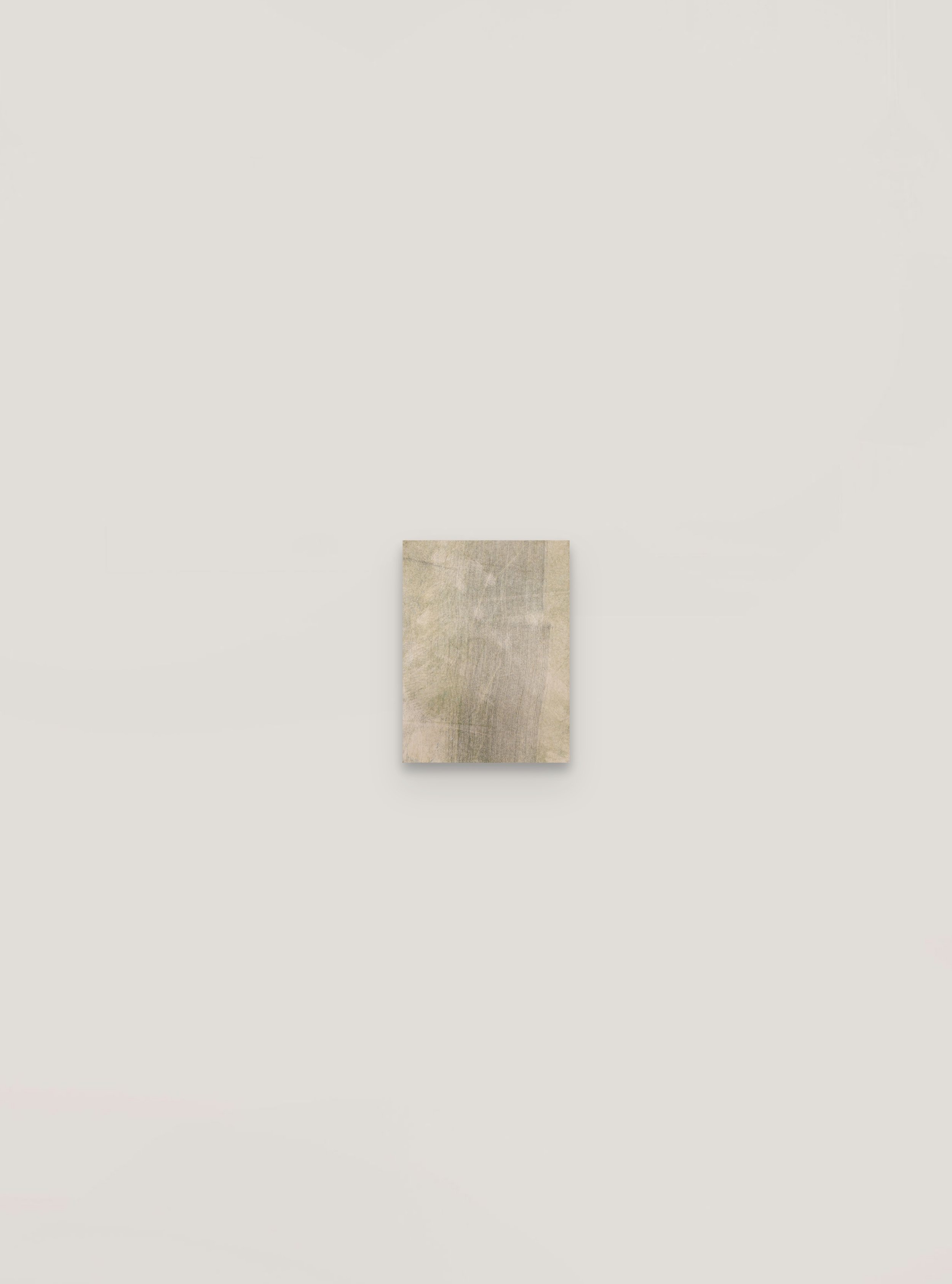 Krista Mezzadri, And from these delicate differences in the hues, the shadows take on a tinge particularly their own (2024)