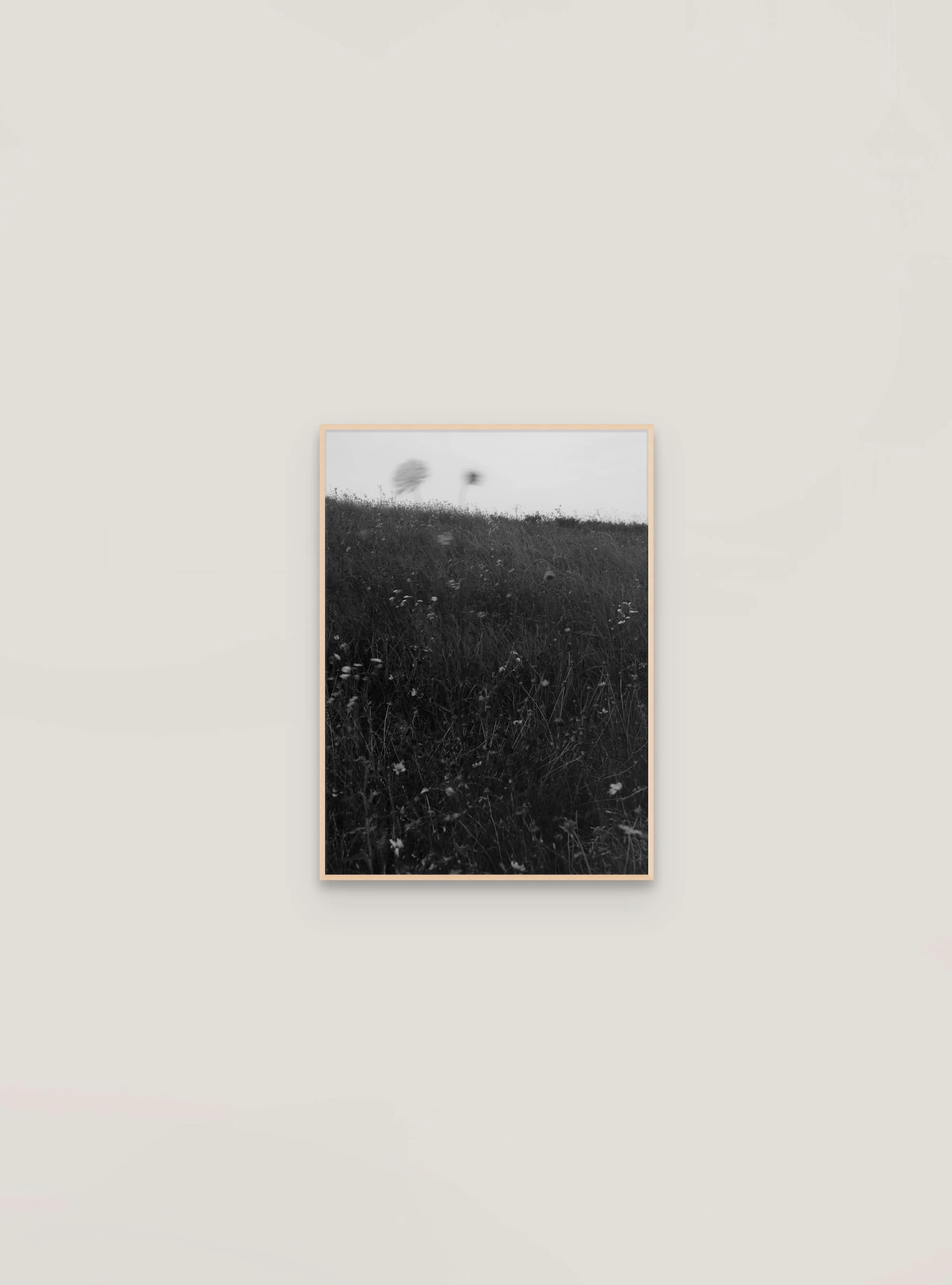 Bryan Schutmaat, Flowers A (2020)