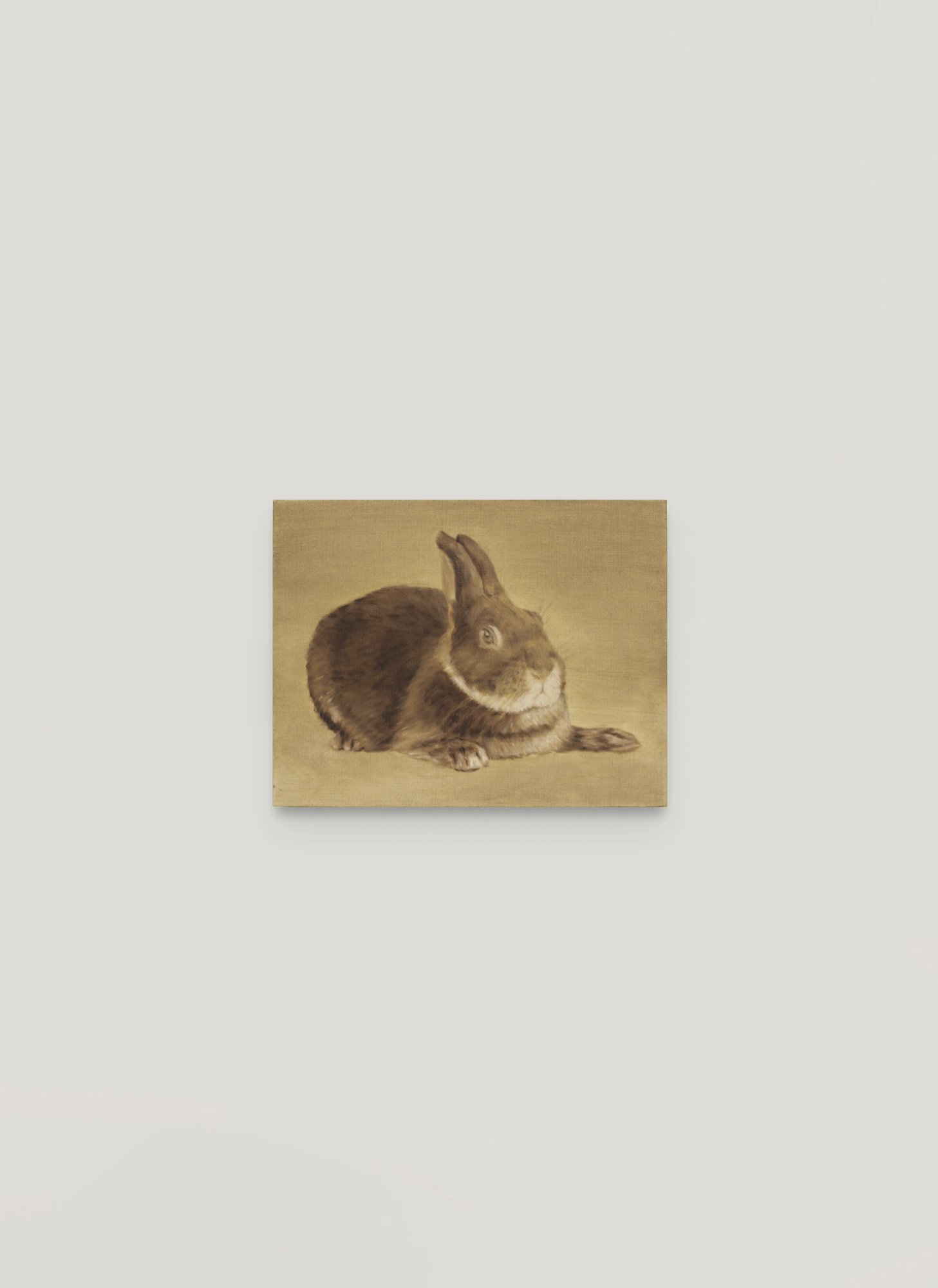 1.rabbit.jpg