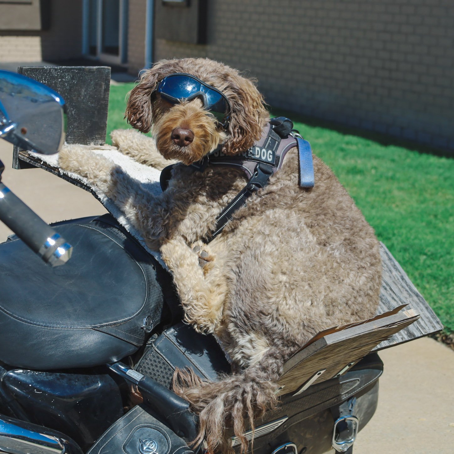 MOTORCYCLE GROUP