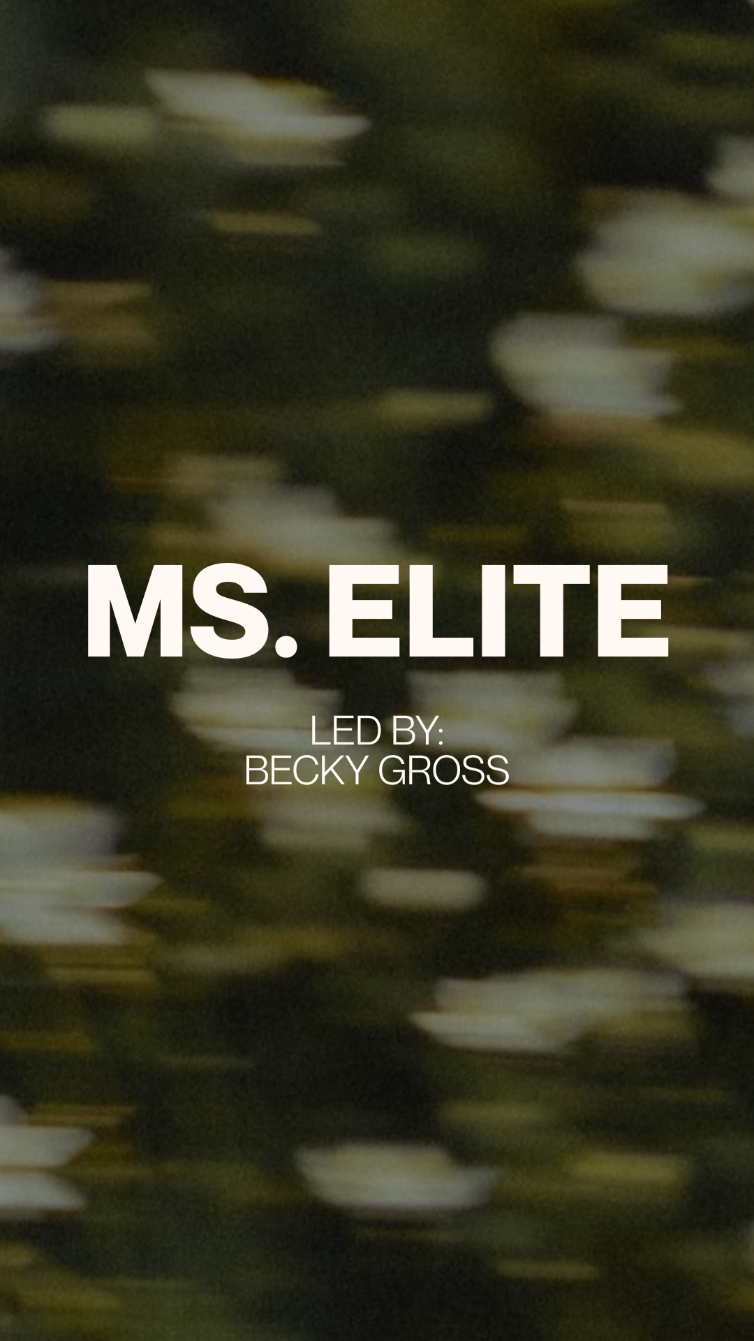 MS ELITE WEB.png
