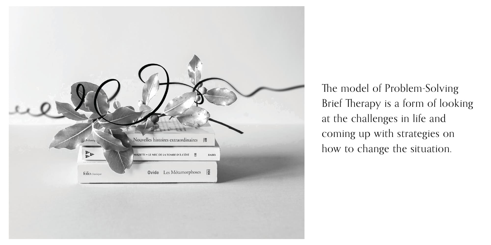 5e505ac4e1702d58a0400596_BTC portfolio 3-p-2000.jpg