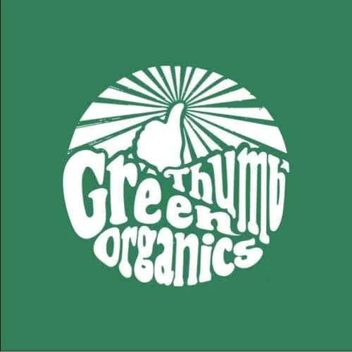 602d9c8723f73fe8ea5ff86e_Untitled drawing (6)-p-500.jpg