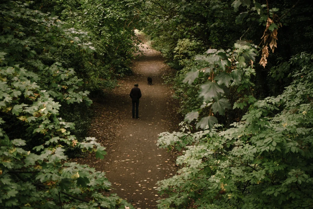 A Walk Through The Park