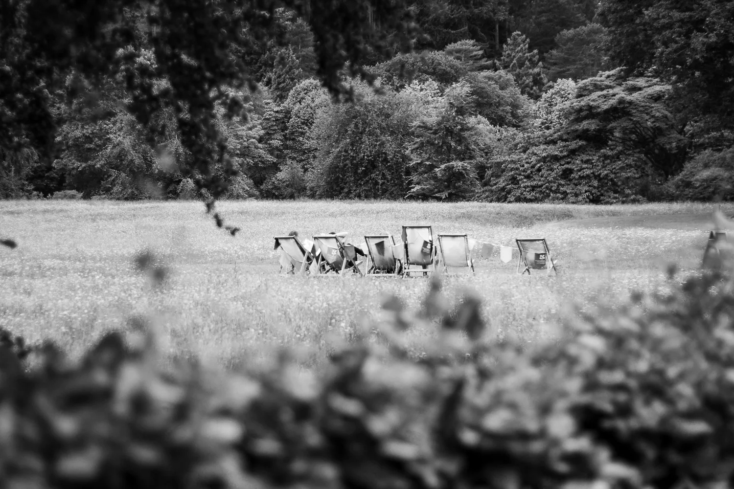 _MG_0094.jpg