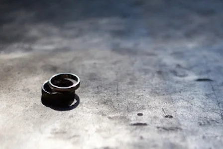 Progama de Certificación Gay Wedding Institute En linea