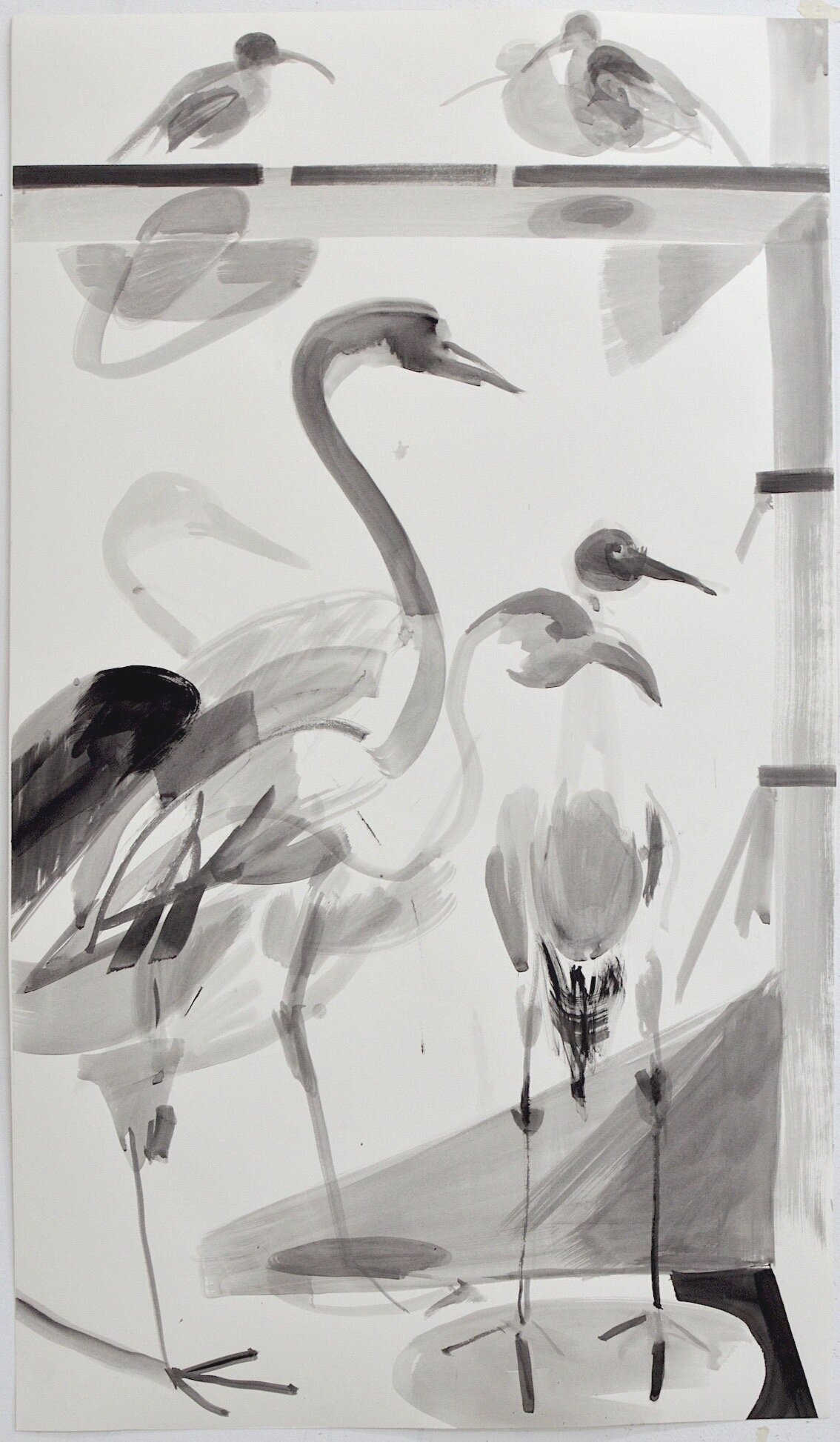 Group of Cranes, Large, Gouache, Ink & Gesso on Fabriano paper, 110 x 64cms, 2019