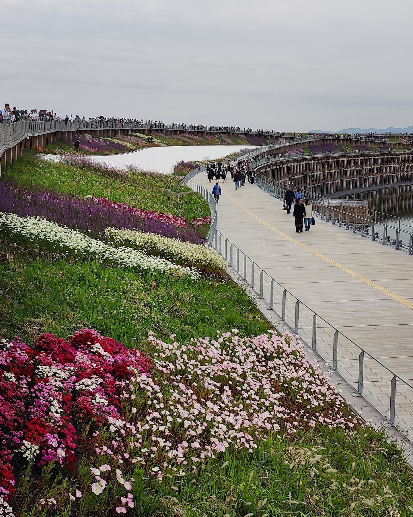 2025 Expo in Osaka Part 1:

1, 5, 9, 13. A view of the Great Ring from atop the structure.
2. A performance by Thailand 
3. Expo 2025 manhole cover 
4. A performance by South Korea
6, 7. Textiles inside the Chile pavilion 
8. A performance by Italy w
