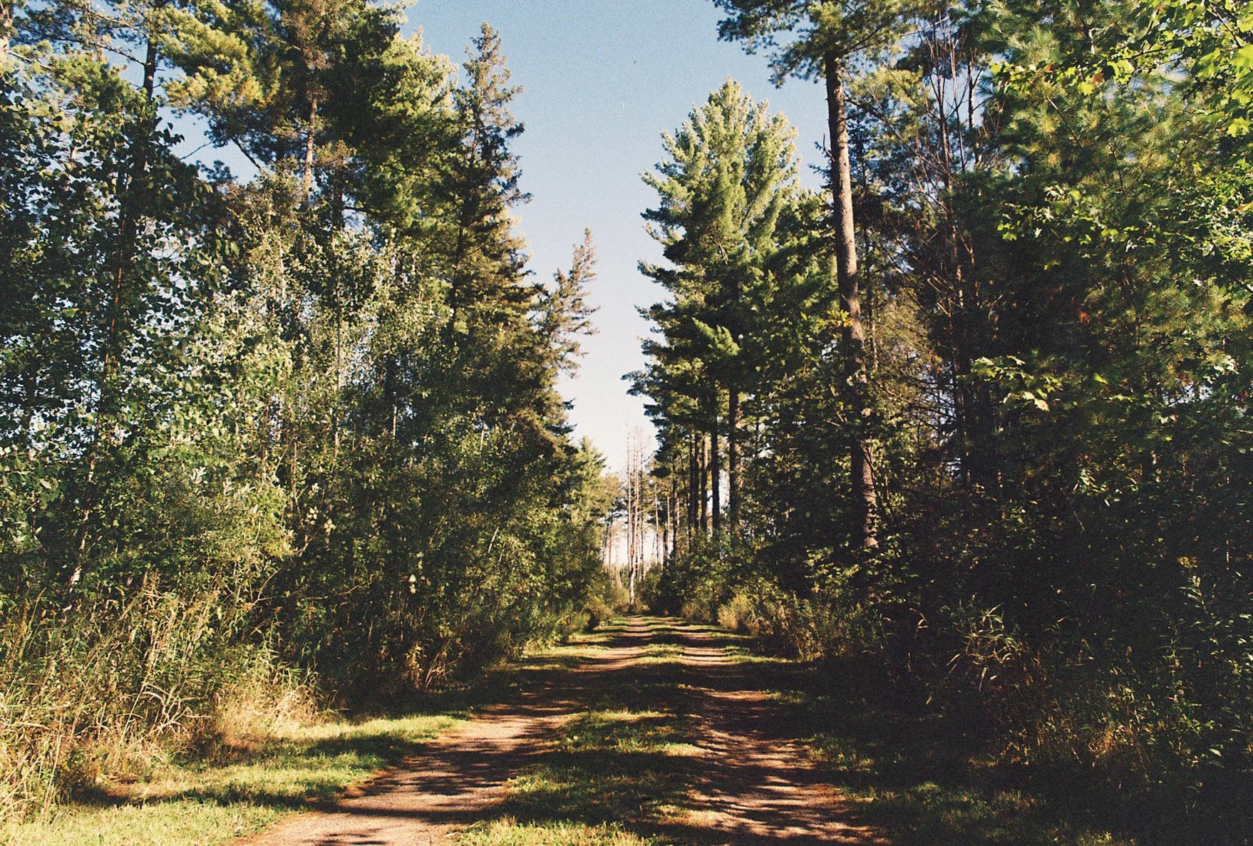 minnep1-01.JPG