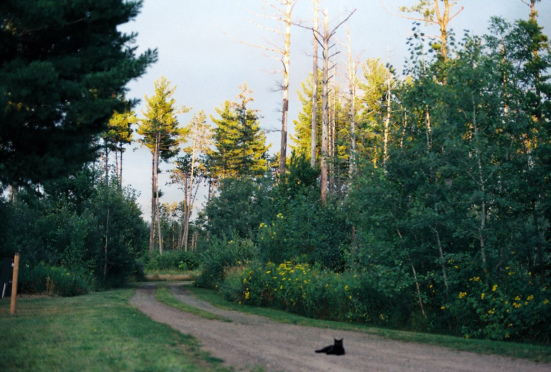 minnep1-05.JPG