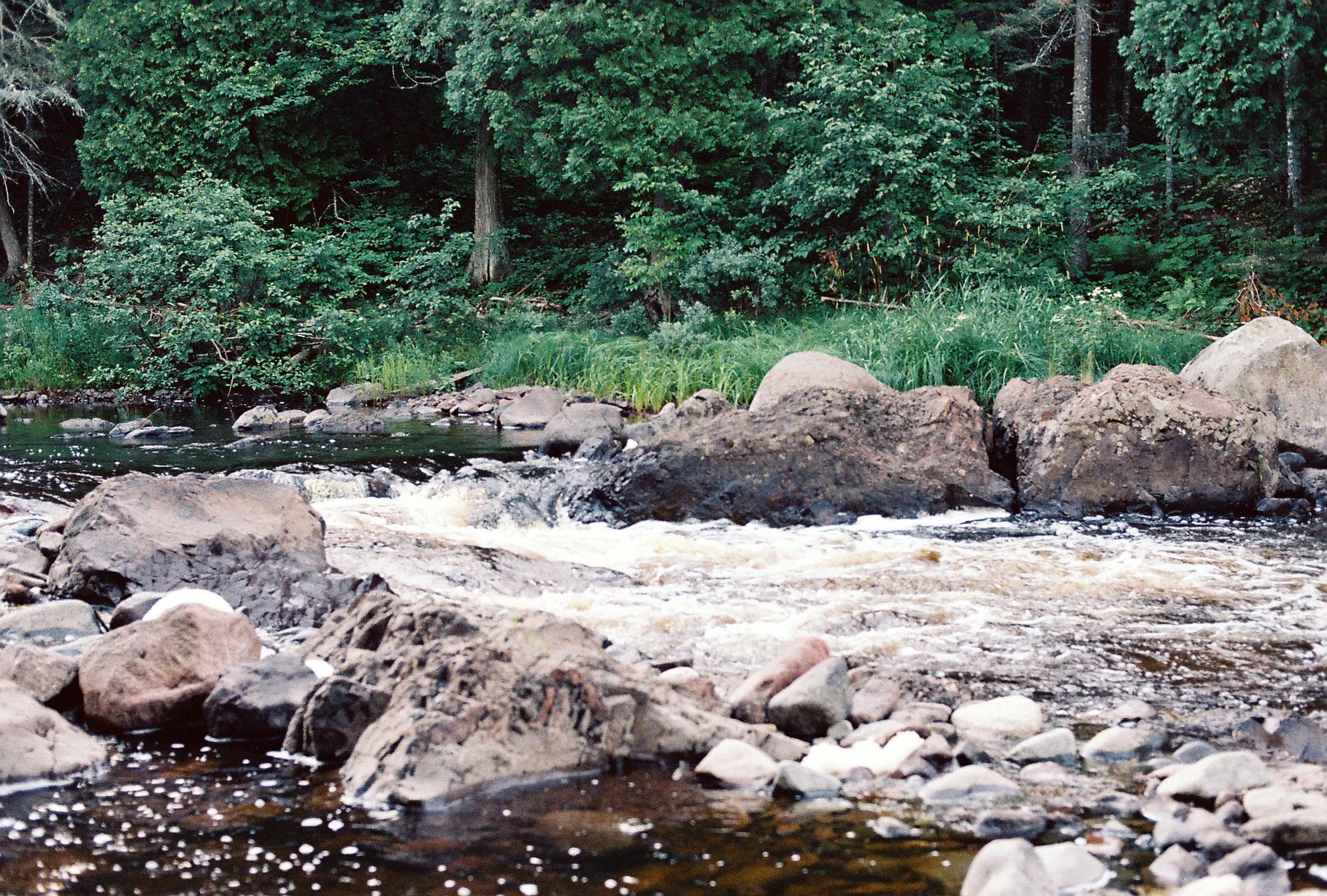 minnep1-19.JPG