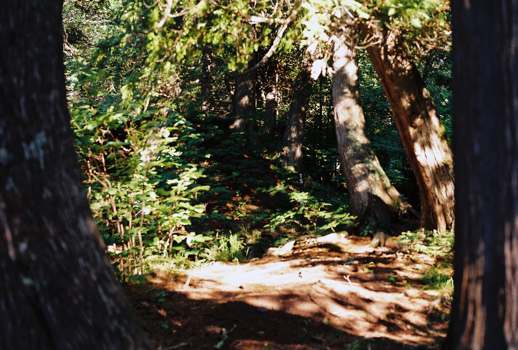 minnep1-25.JPG