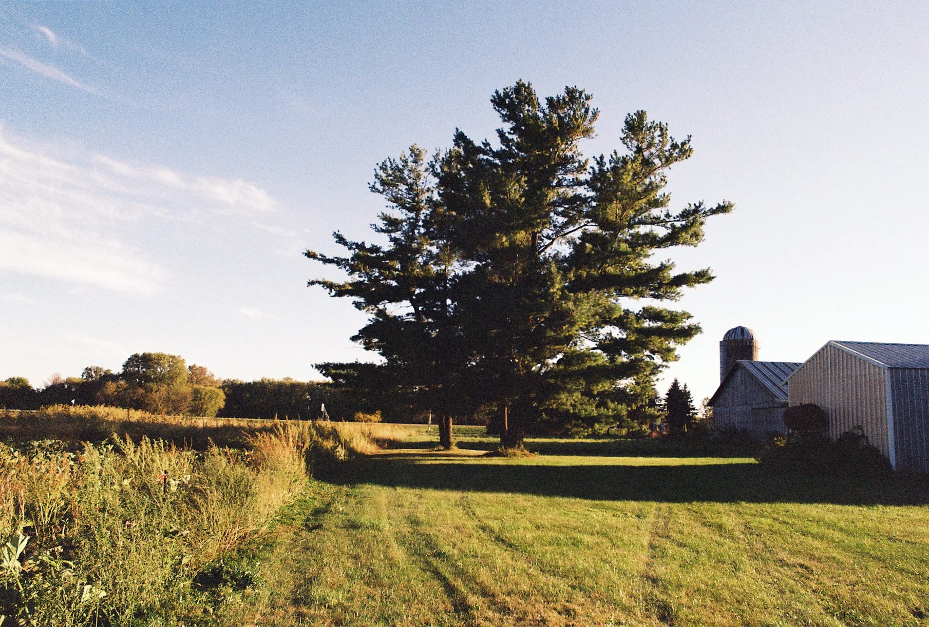 R1-09461-028A.JPG
