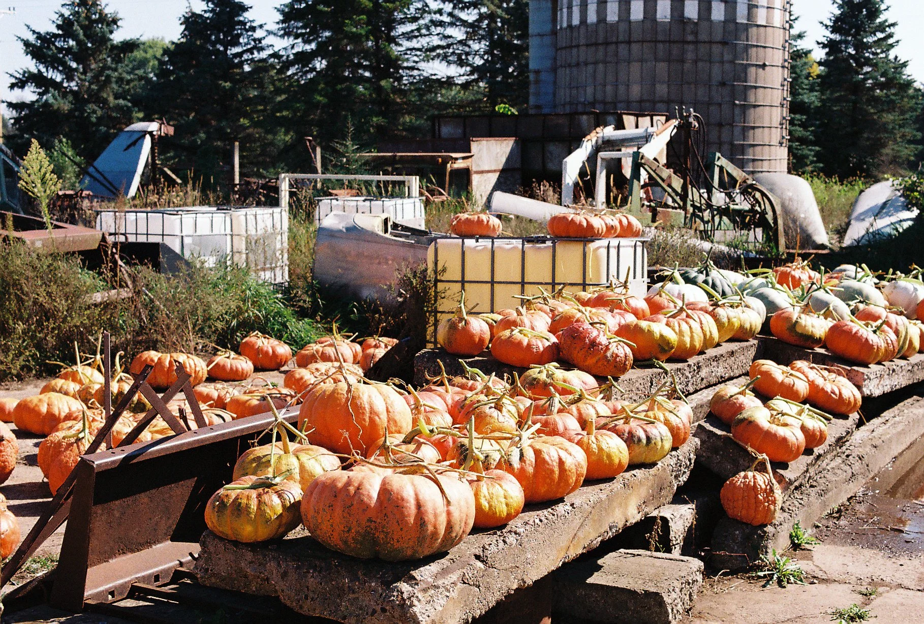 R1-09463-021A.JPG