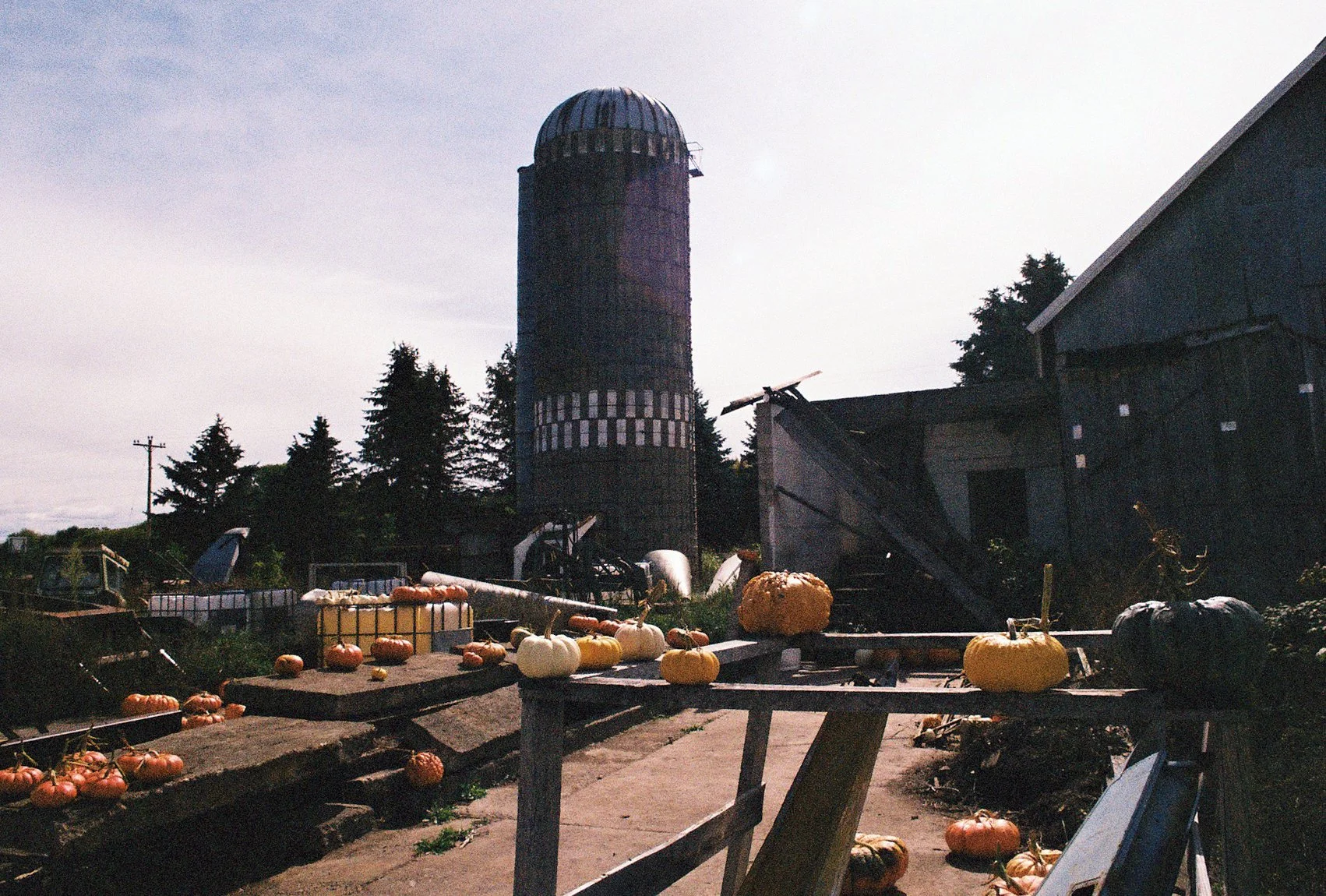 R1-09465-015A.JPG