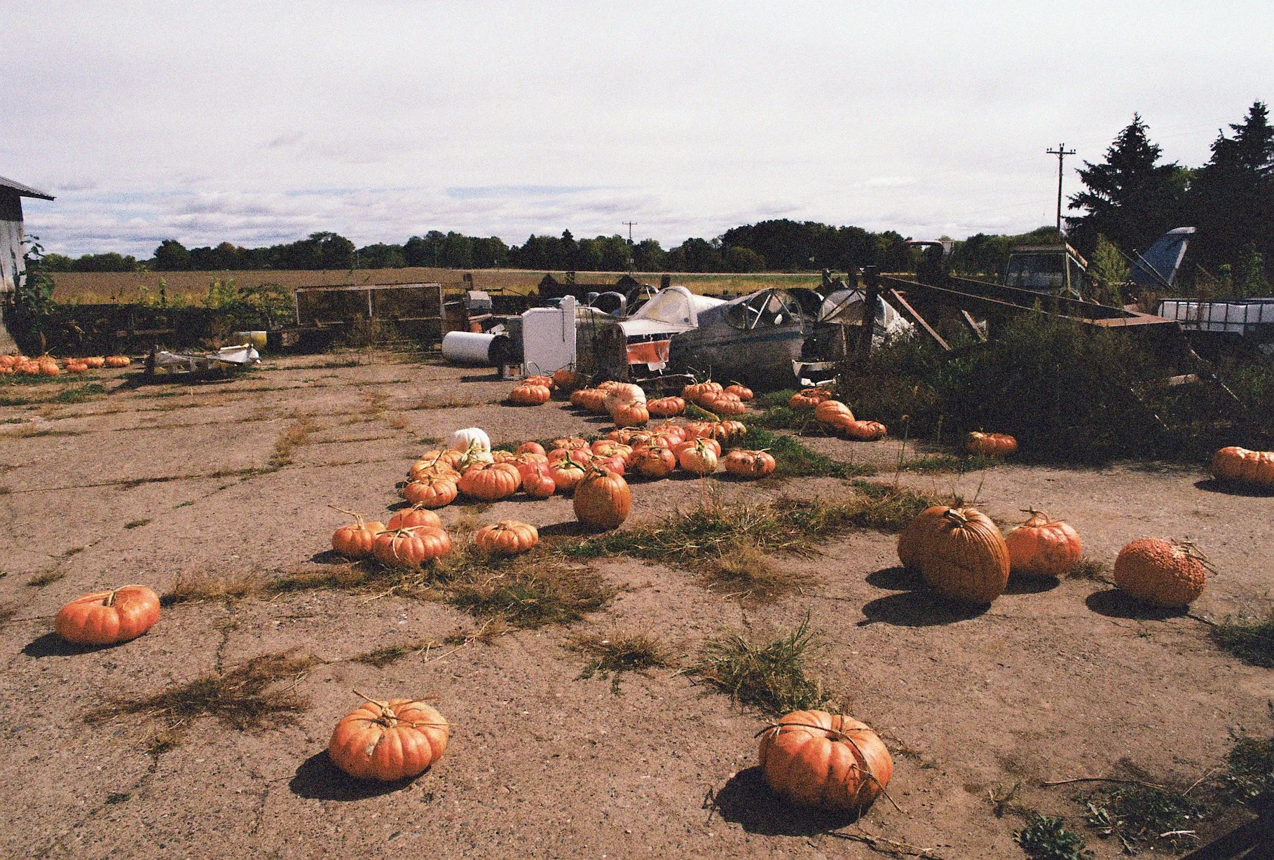 R1-09465-016A.JPG