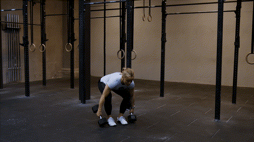 Double dumbbell squat clean