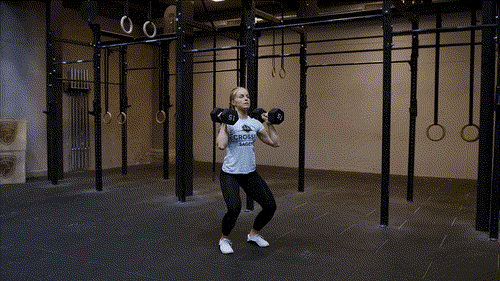Double dumbbell push jerk
