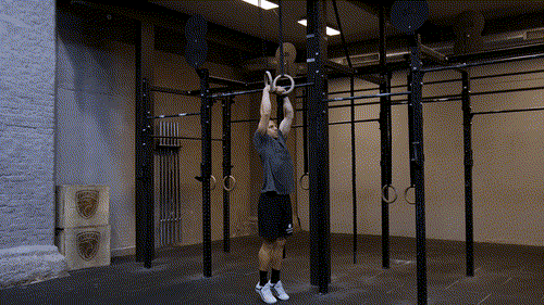 False grip ring pullups