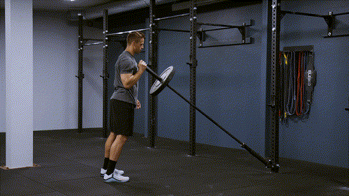 Landmine standing press