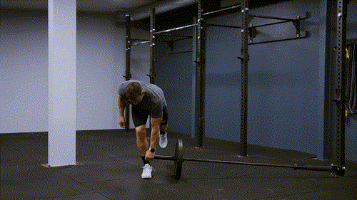 Landmine single leg deadlift 