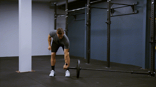 Landmine pendlay row