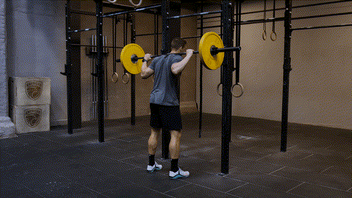 Pause back squat