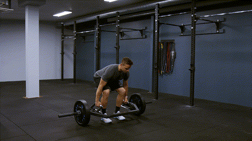 Trap bar deadlift