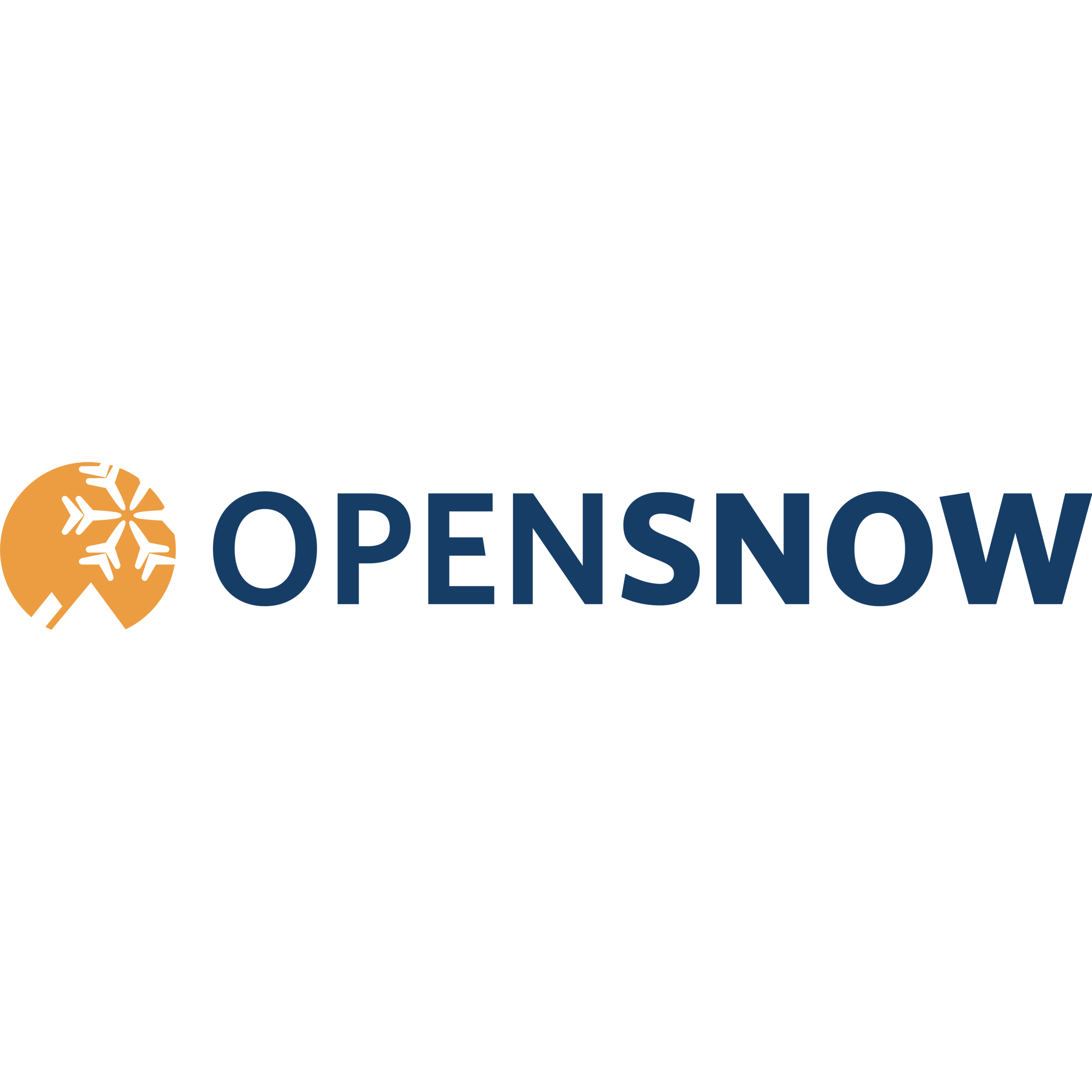 OpenSnow Logo - White Square.png