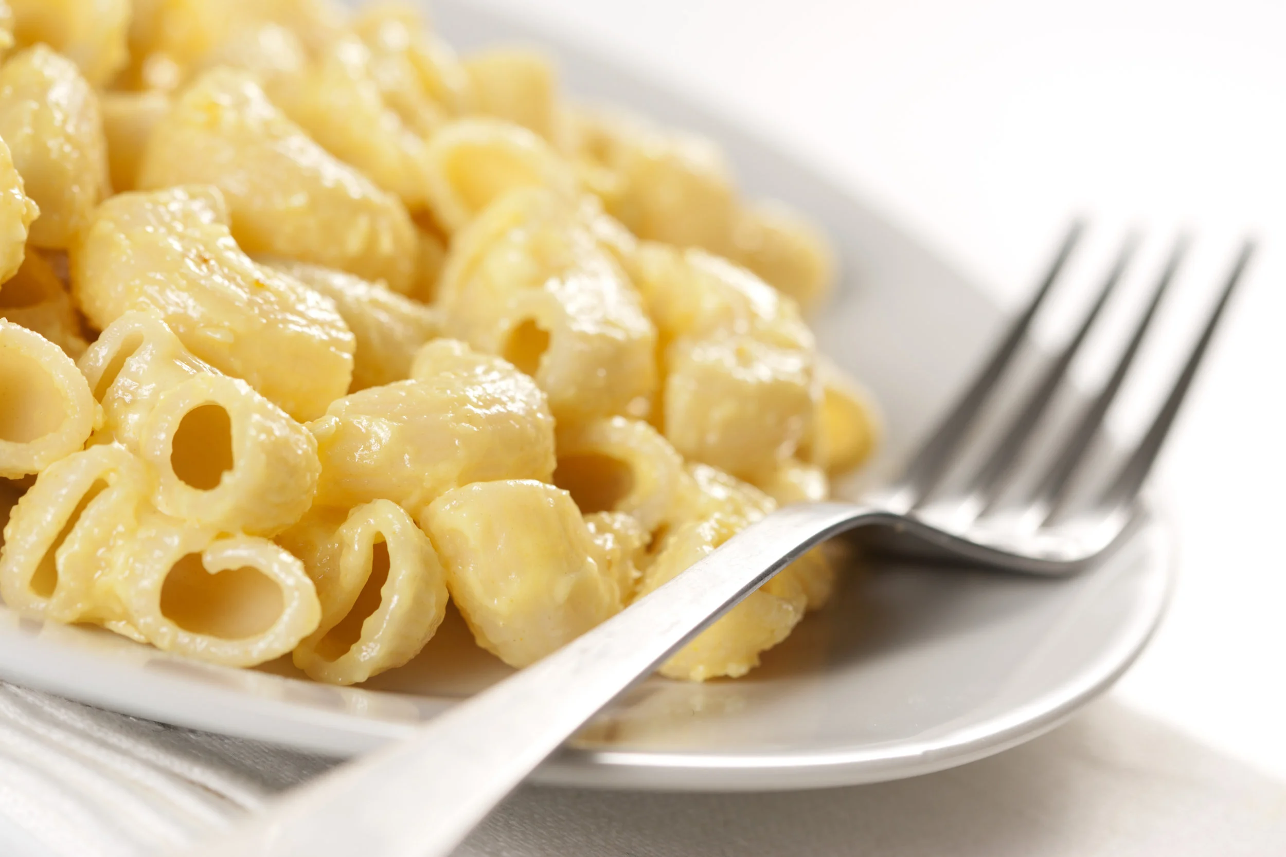 AdobeStock_31610980.jpeg