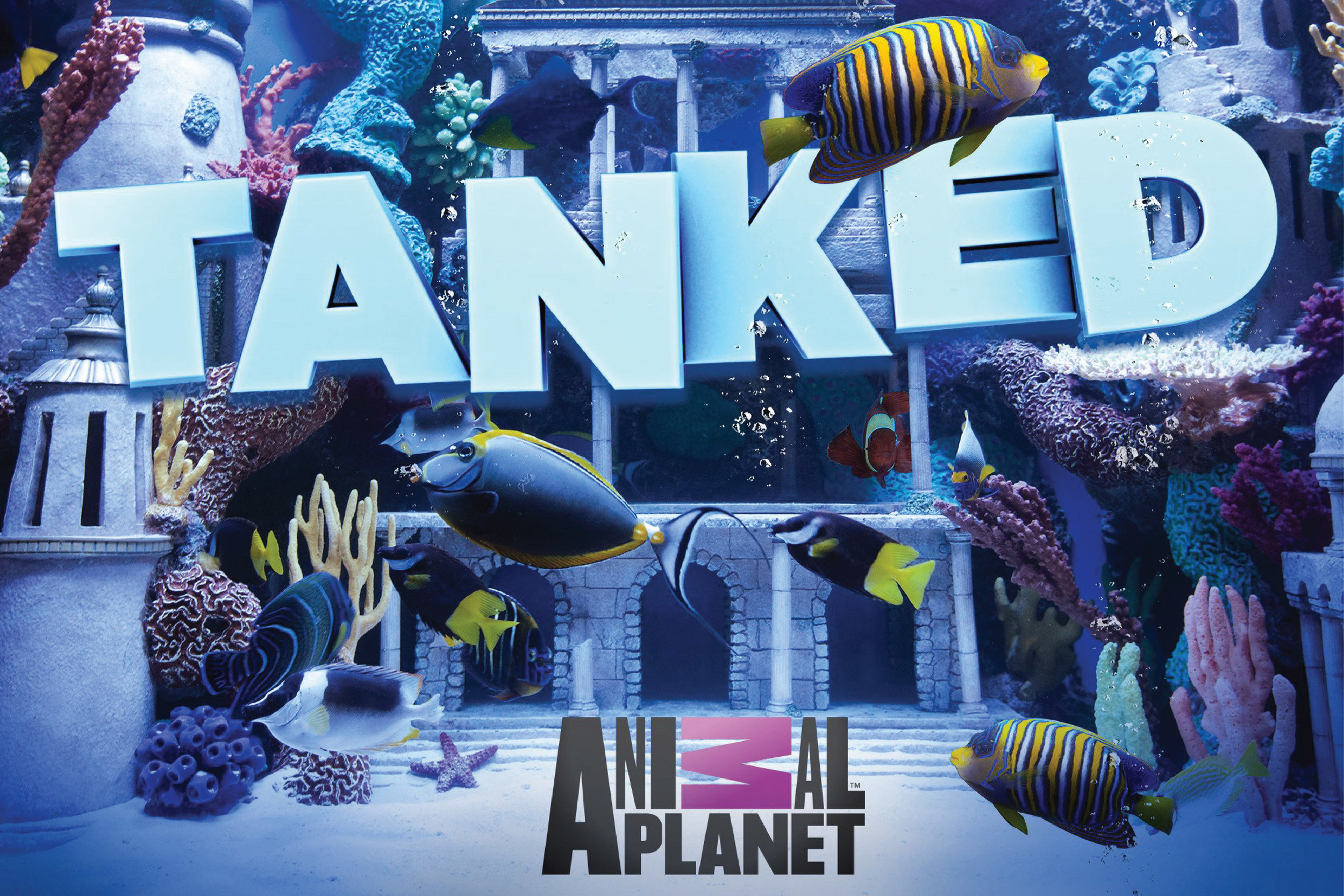 Animal Planet | Tanked
