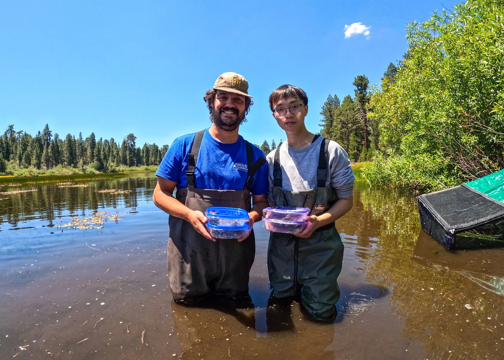 Birch Aquarium - Frog Release 6 (1).jpg