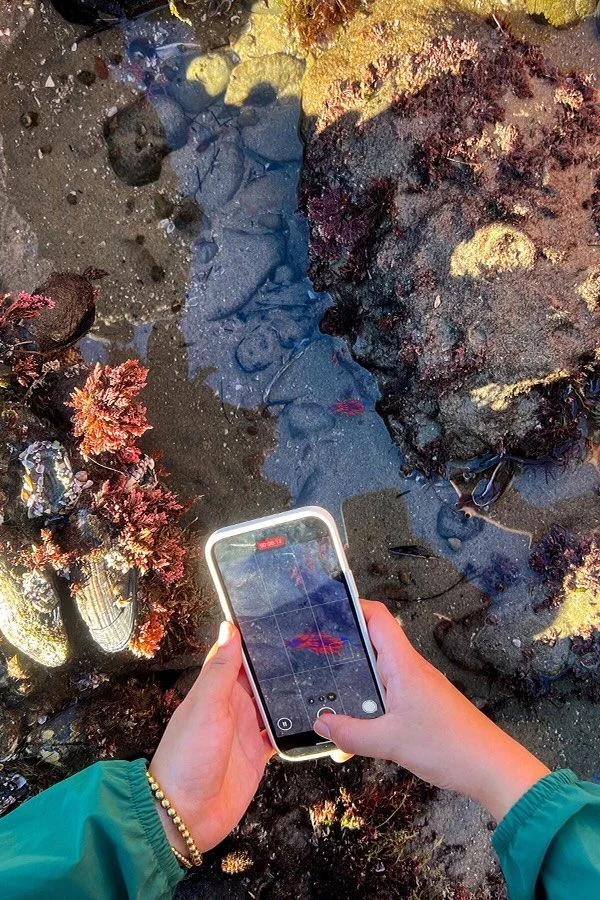 Conservation Highlights