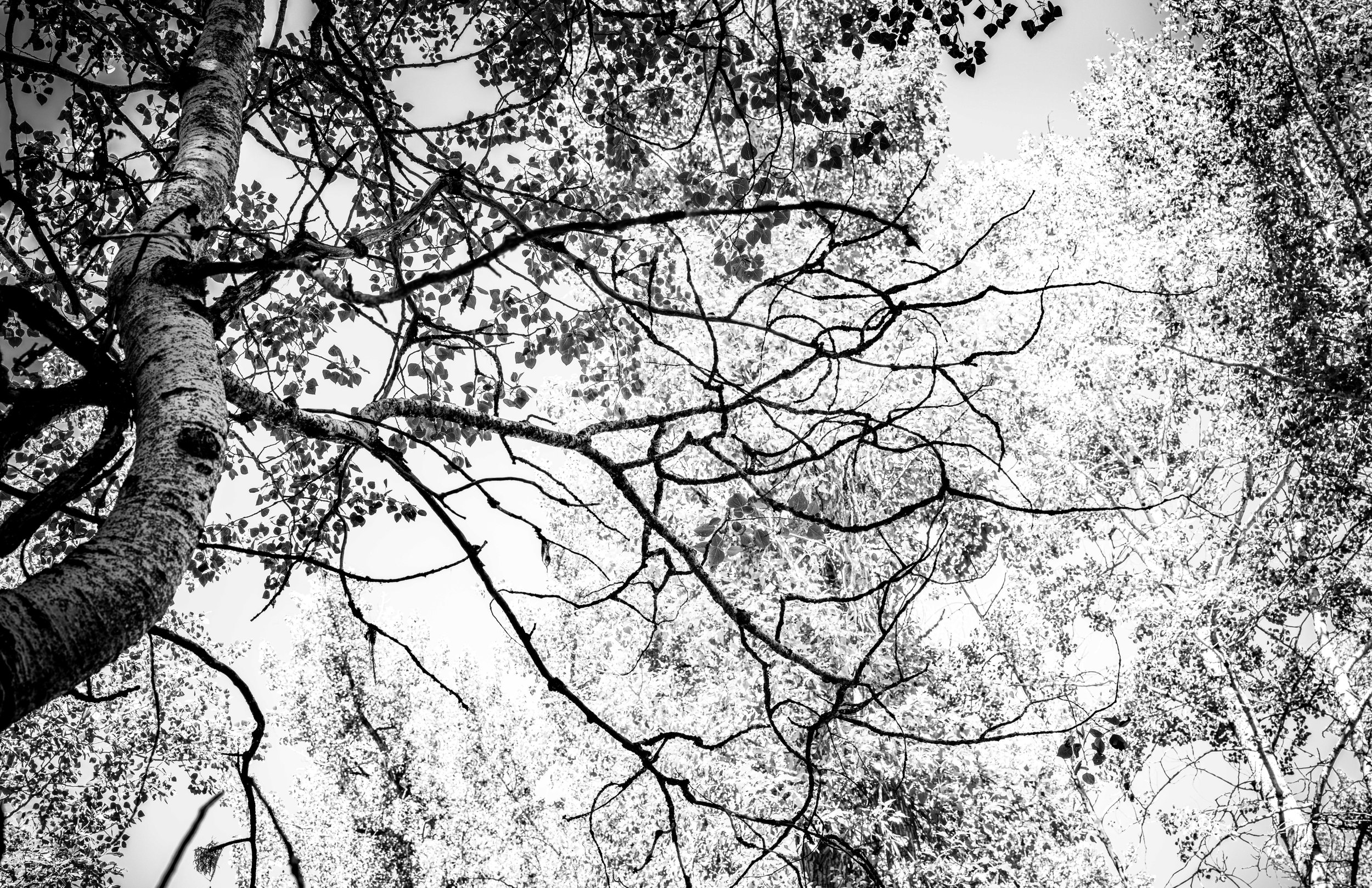 Synchronicity of time and places far apart