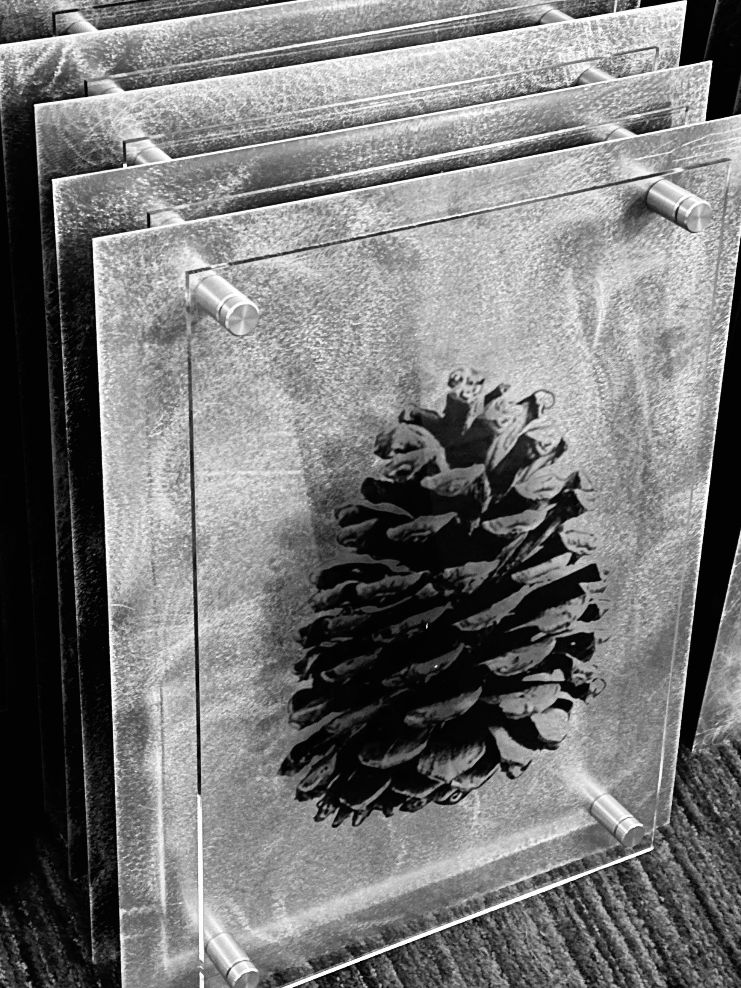 The film negative presented over metal