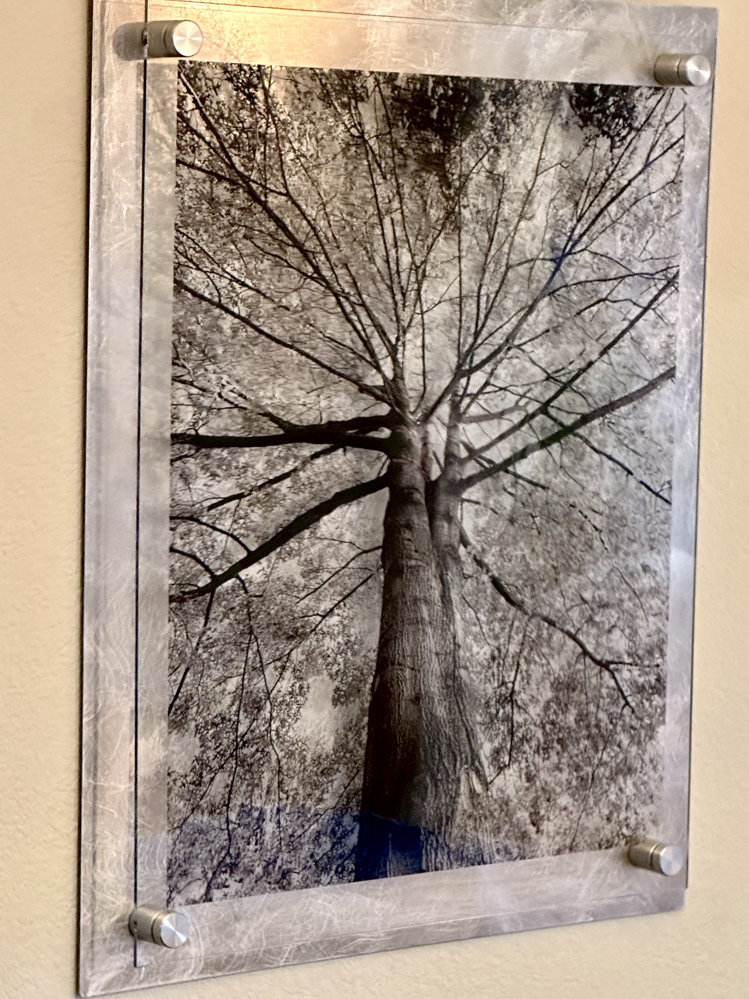 Twins. Negative over metal