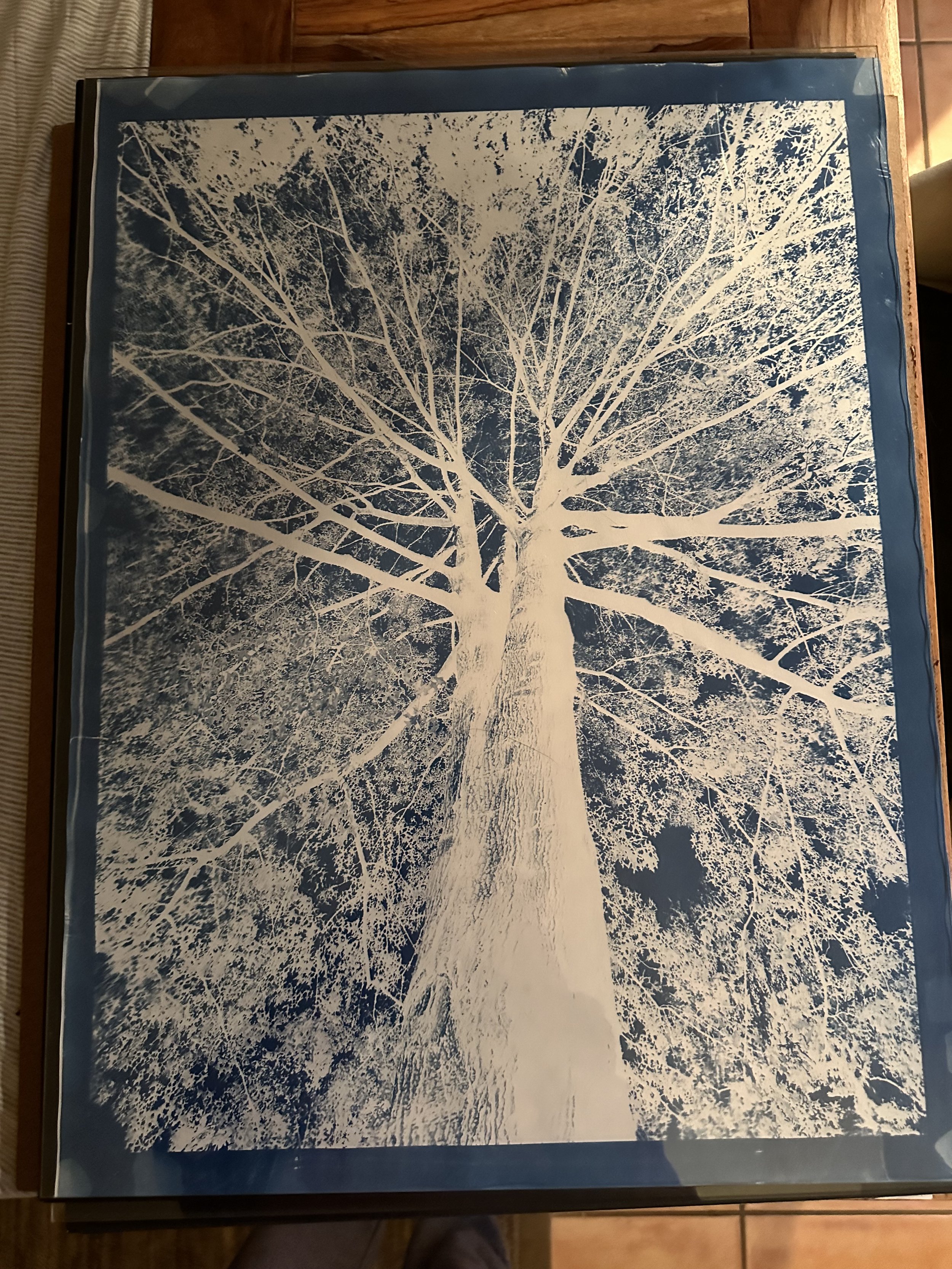 Cyanotype print of Twins at Kristin Armstrong Park. Boise, Idaho