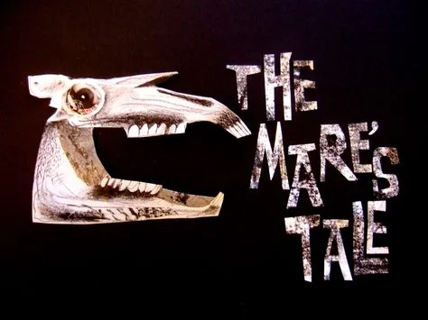 The Mare’s Tale, directed by Clive Hicks-Jenkins, music by Mark Bowden. Story-telling, music, puppets… Clive says some nice things about me here: https://clivehicksjenkins.wordpress.com/2013/09/01/yshani/