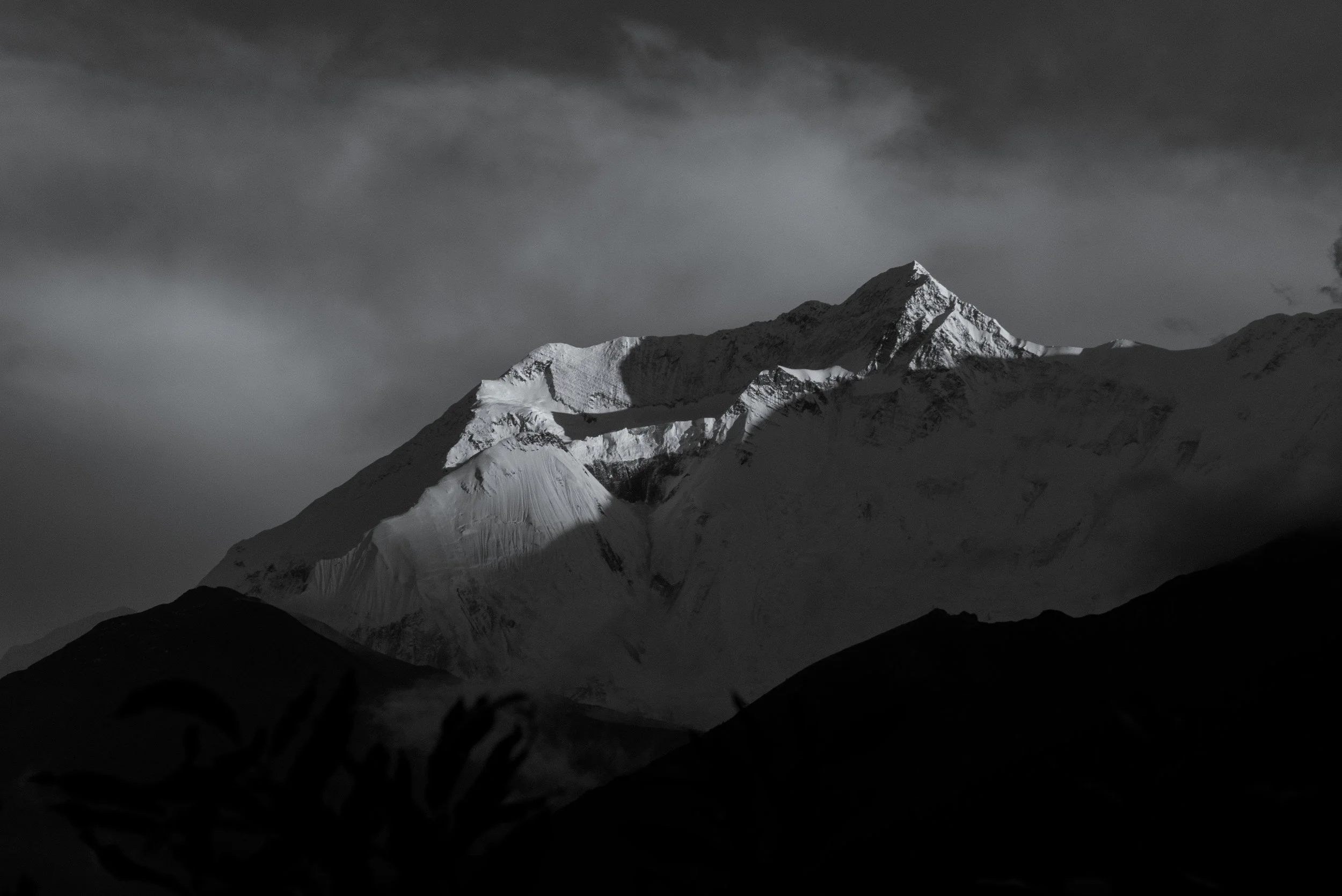 _DSC4620.jpg