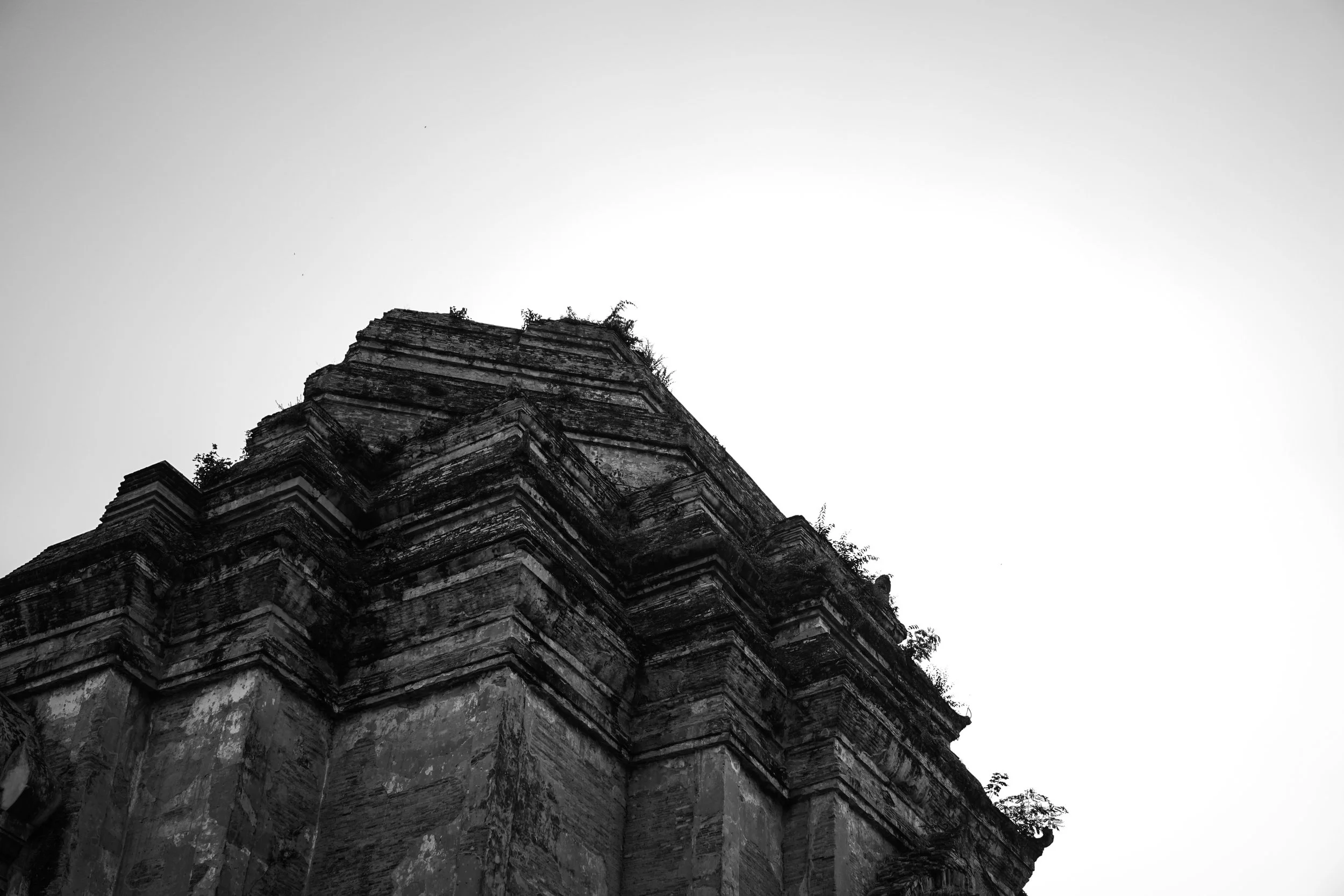 DSC05466-2.jpg