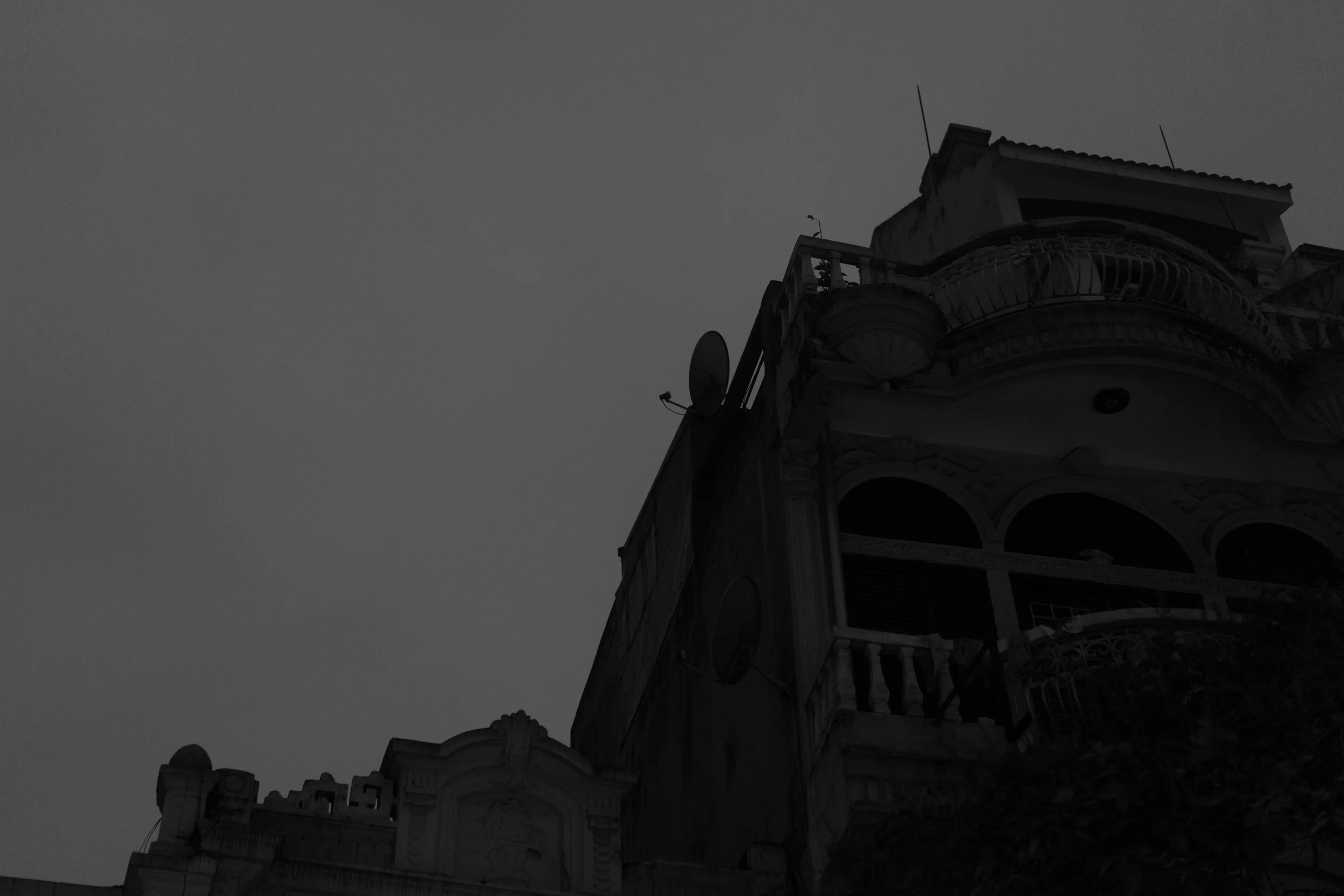 DSC07603.jpg