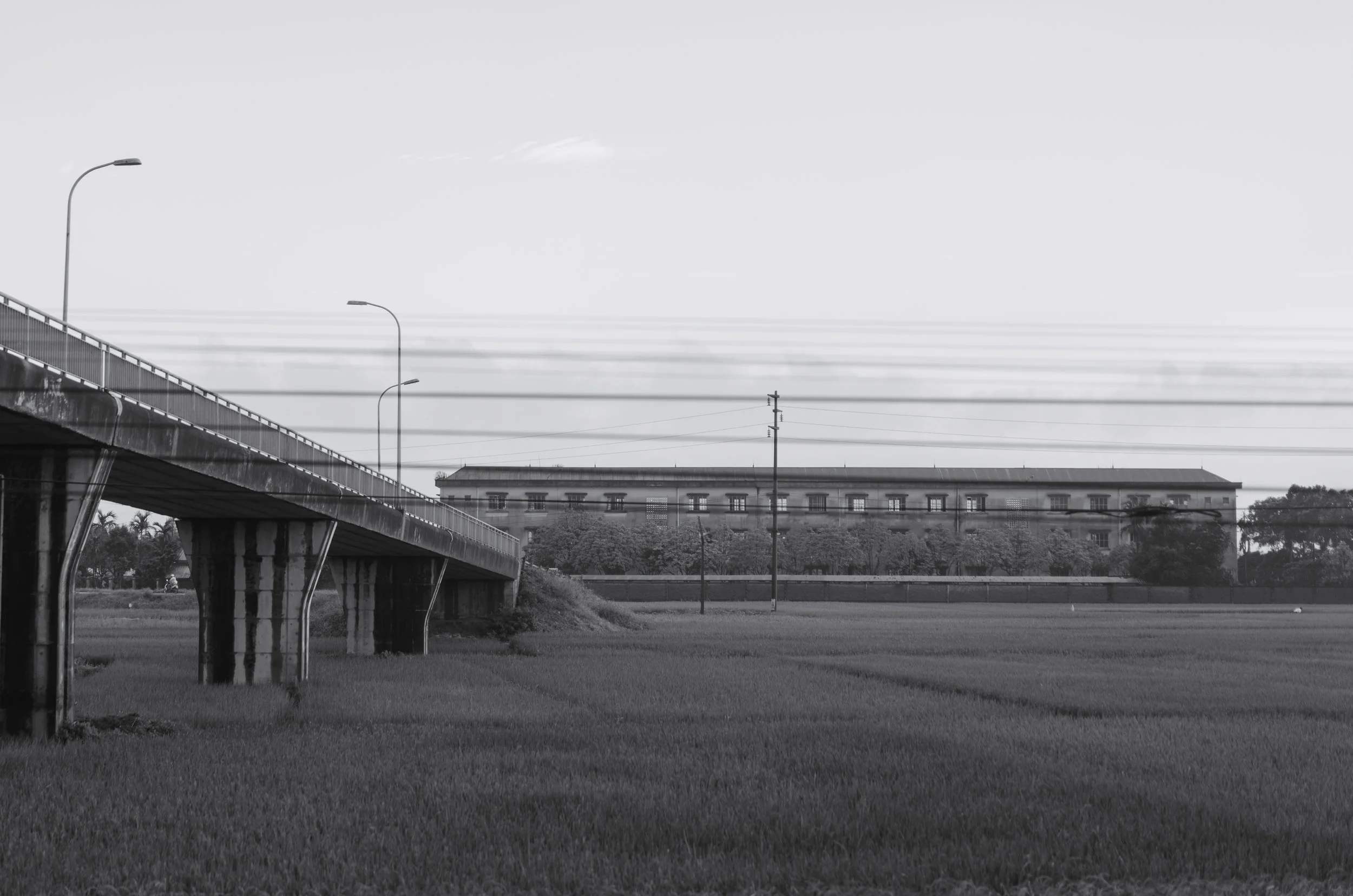 DSC08067.jpg