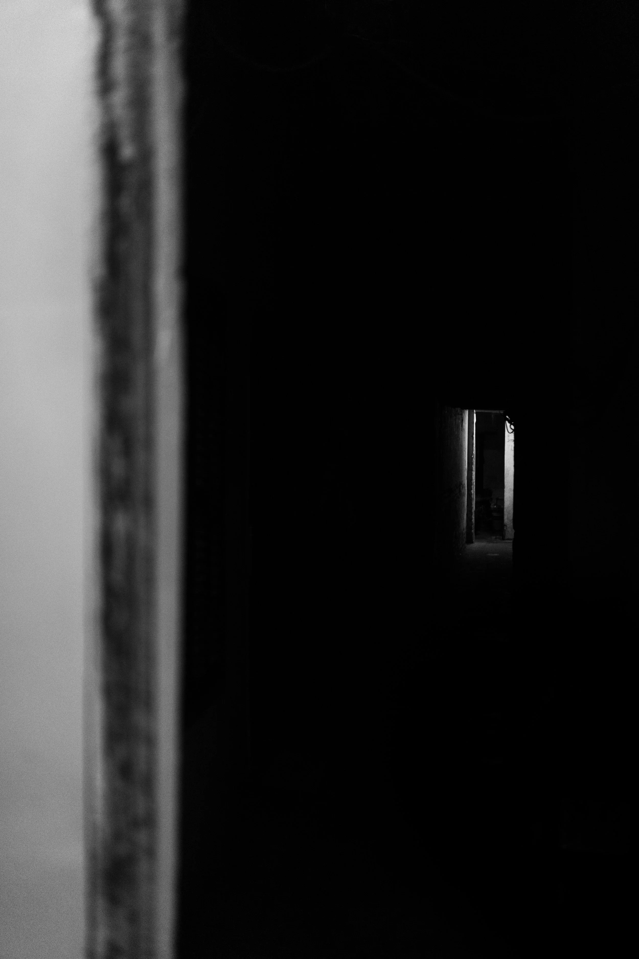 DSC07687.jpg