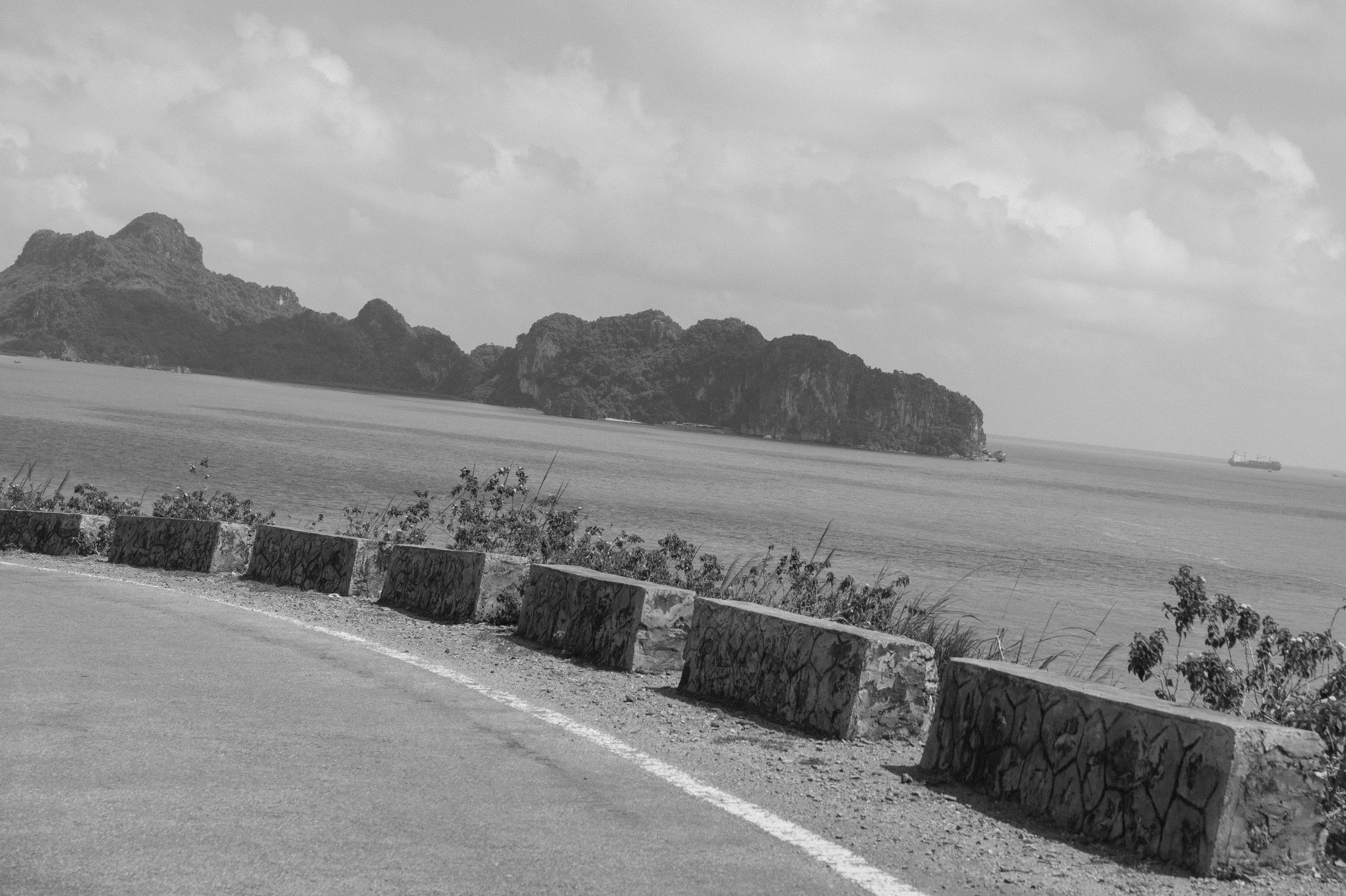 DSC08107.jpg